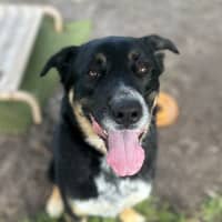 Photo of Leroy Jenkins