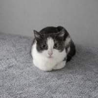 Photo of Birdie