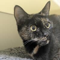 Photo of 🦦 Damita 6889 🦦