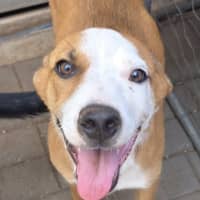 Photo of Shilo