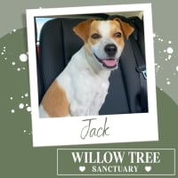 Photo of Jack 