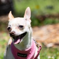 Photo of Holly Silvanus