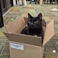 Photo of Betty