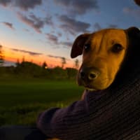 Photo of Penny