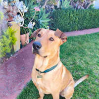 Photo of Bishop
