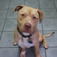 Photo of Tyson