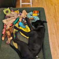 Photo of Tex