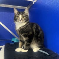 Photo of Monte Carlo