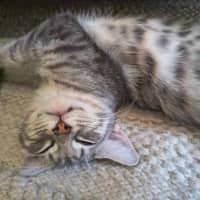 Photo of Bruno / Fruit Loop