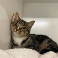 Photo of Suzi