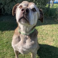 Photo of Zarleigh (66002)