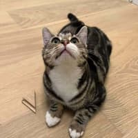 Photo of Little One