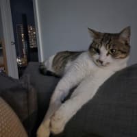 Photo of Rigan