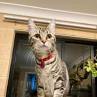 Photo of Luna