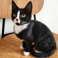 Photo of 🌹 Marnie 🌹