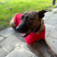 Photo of Cocobella