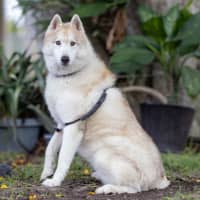 Photo of Zara