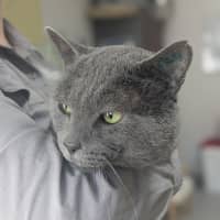 Photo of 👓 Morpheus 5836 👓