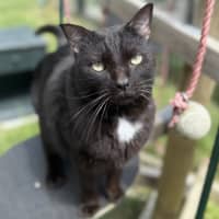 Photo of Little Buddy