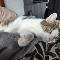 Photo of Molly / Milly