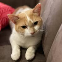 Photo of Lysandra And Aelin