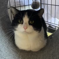 Photo of Billy
