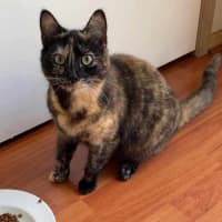 Photo of Ashlie & Lisa