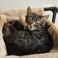 Photo of Mia
