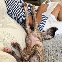 Photo of Adorable Pj