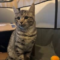 Photo of Enid