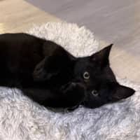 Photo of Banksy 🎨