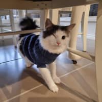 Photo of Pablo Moriarty