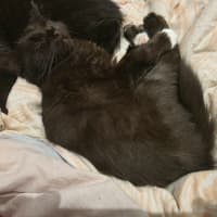 Photo of Toots