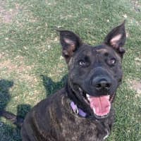 Photo of Lucy