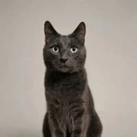 Photo of Max