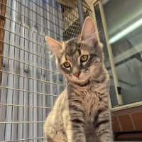 Photo of Winter! ❄️