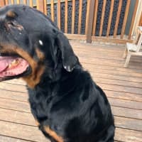 Photo of Zeus