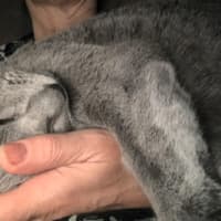 Photo of Jasper