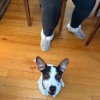 Photo of Bobby 