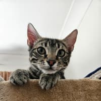 Photo of Taylin