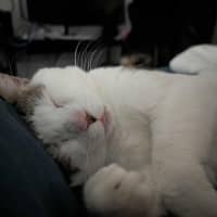 Photo of Pat