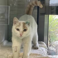 Photo of Marmalade