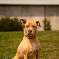 Photo of Max
