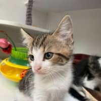 Photo of Berlin (9955)