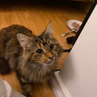 Photo of Astra 