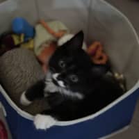 Photo of Harry  Reviewing Applications