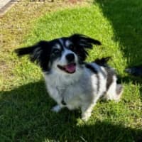 Photo of Jack