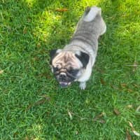 Photo of Walter
