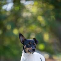 Photo of Jack