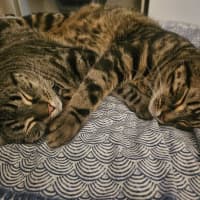 Photo of Duke